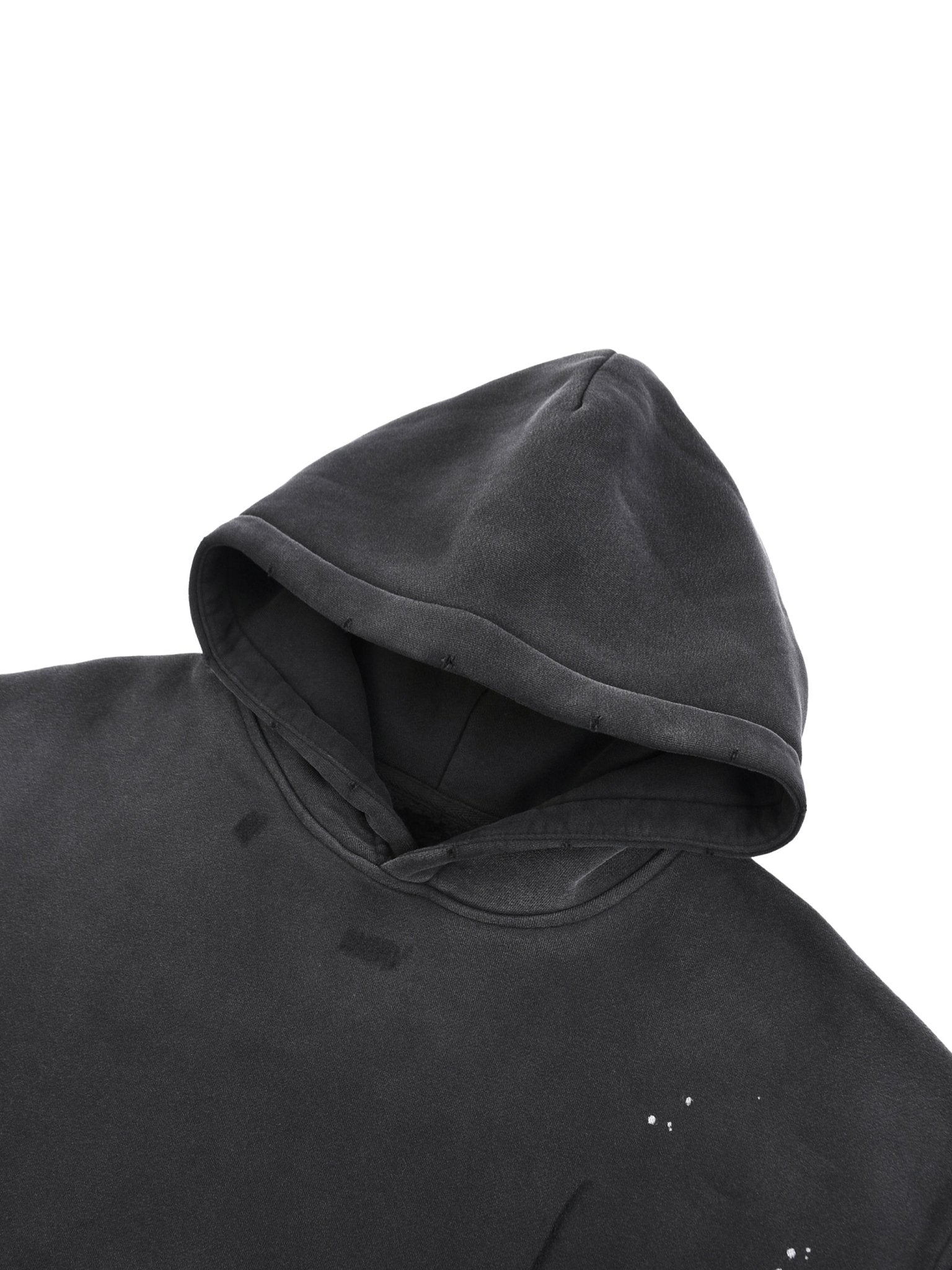 "I Can Do All Things"- Heavyweight Hoodie - Lion Of God